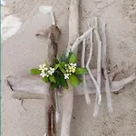 Anthos * Limenas (Thasos)