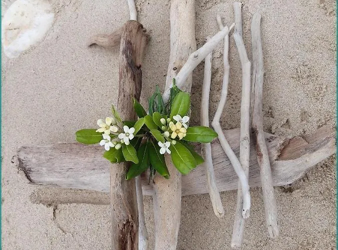 ανθός * Λιμένας